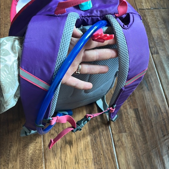 CamelBak Purple and Pink Backpack with Blue Tube